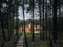 Bajka o domu w lesie