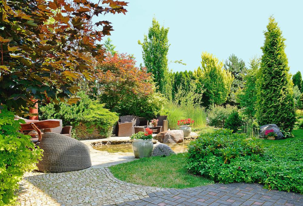 Cięcie drzew i krzewów.jpeg