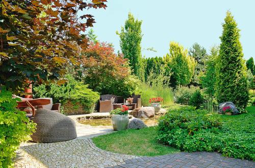 Z sekatorem w dłoni. Wiosenne cięcie drzew i krzewów