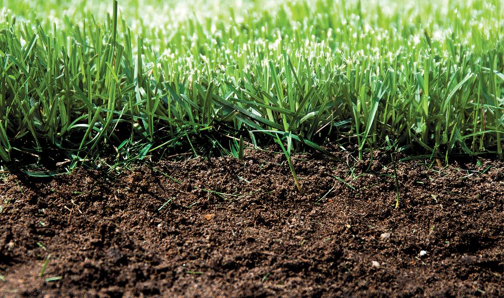Jak poprawić jakość gleby
